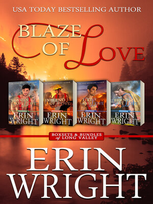 cover image of Blaze of Love